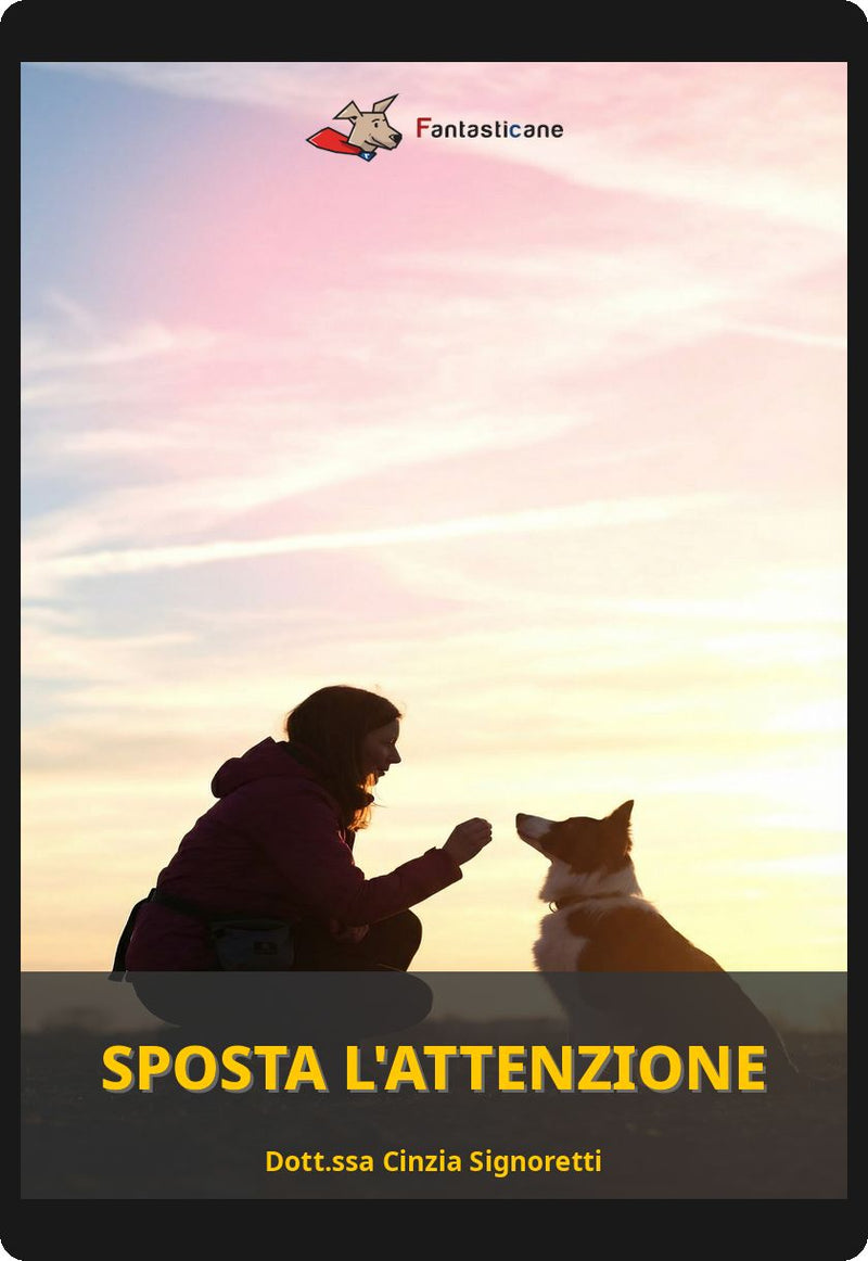 “Sposta l’Attenzione”