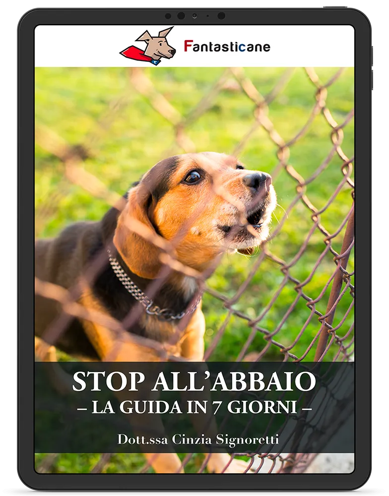 Stop all'abbaio: la guida in 7 giorni - 1