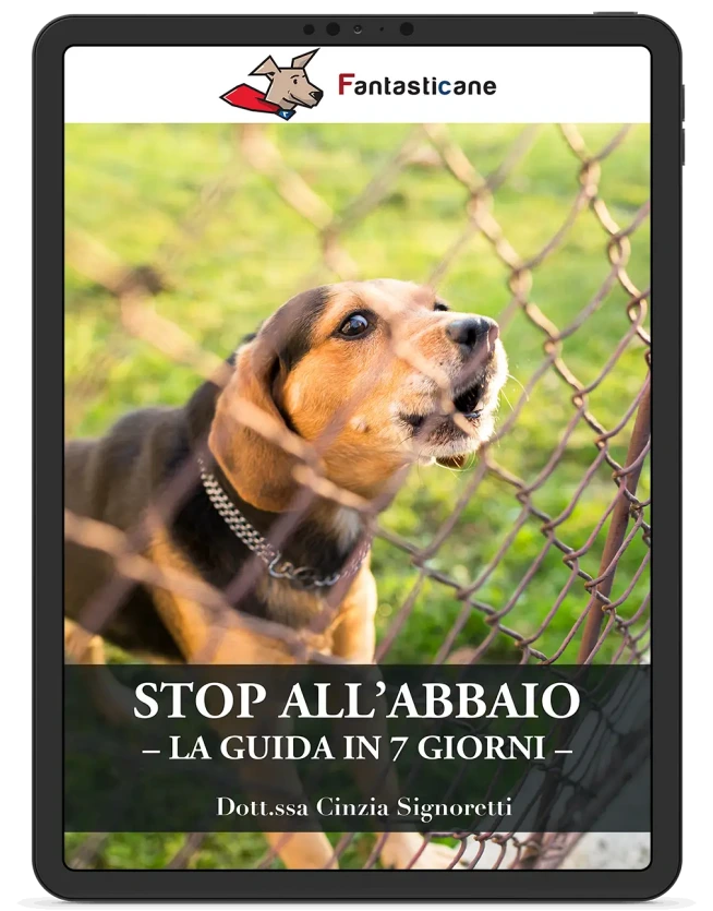 EDIZIONE VIDEO DI STOP ABBAIO