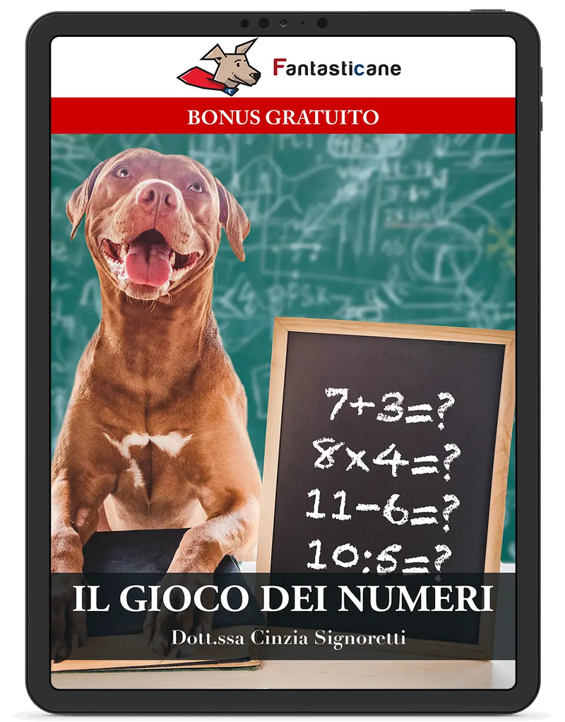 “IL GIOCO DEI NUMERI”