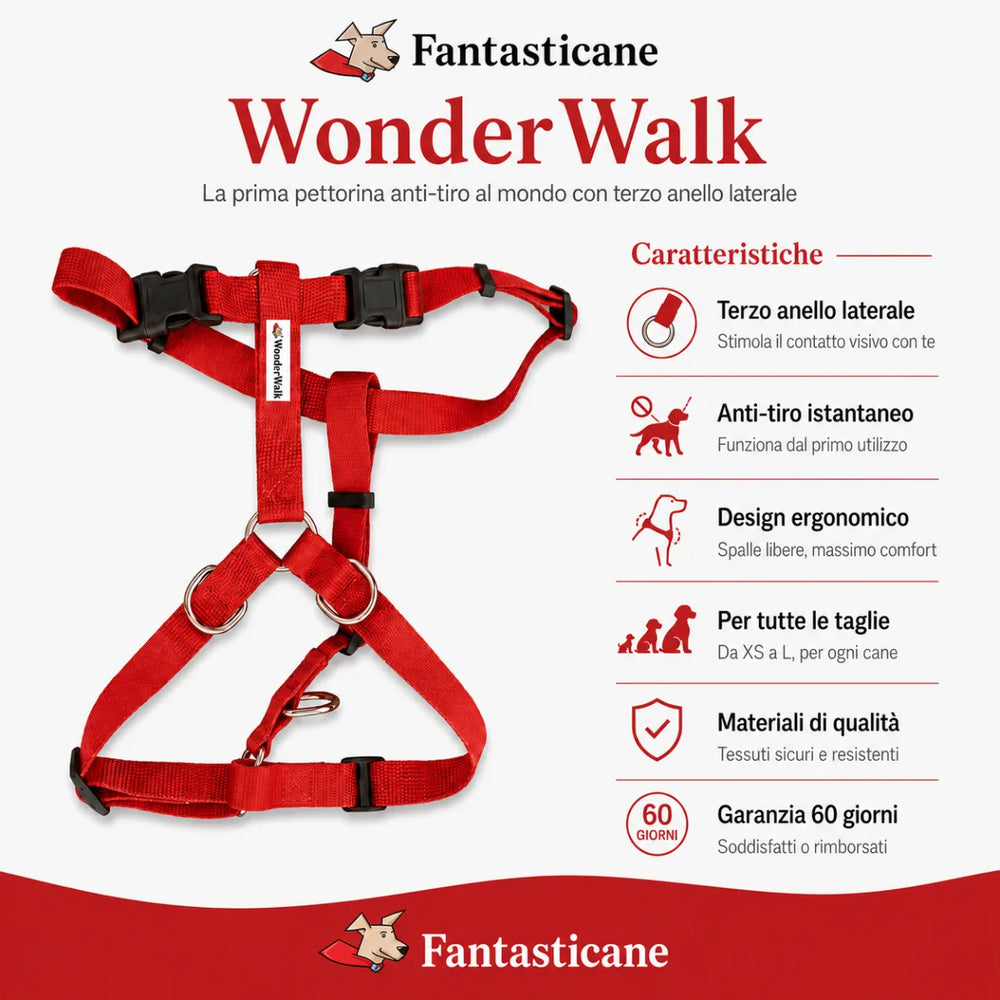 Pettorina WonderWalk - 4