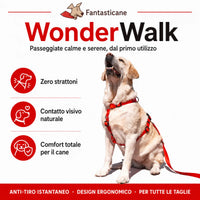 Pettorina WonderWalk - 5