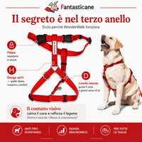 Pettorina WonderWalk - 6