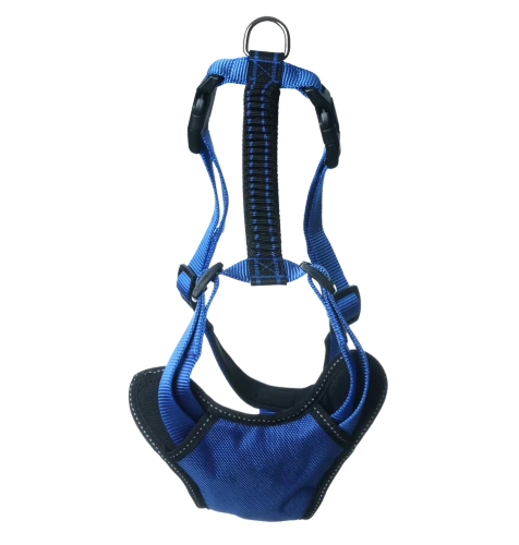 Pettorina standard blu