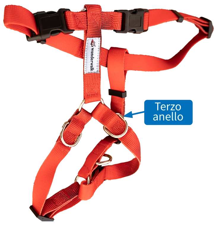 La pettorina WonderWalk e il suo terzo anello