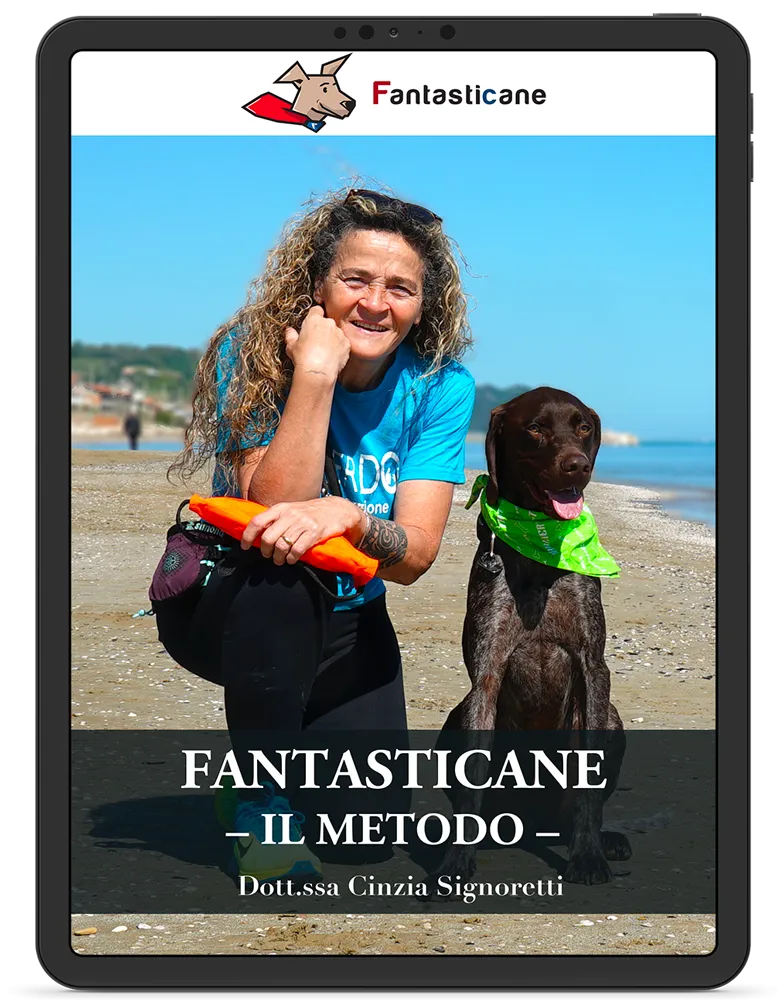 Fantasticane Academy
