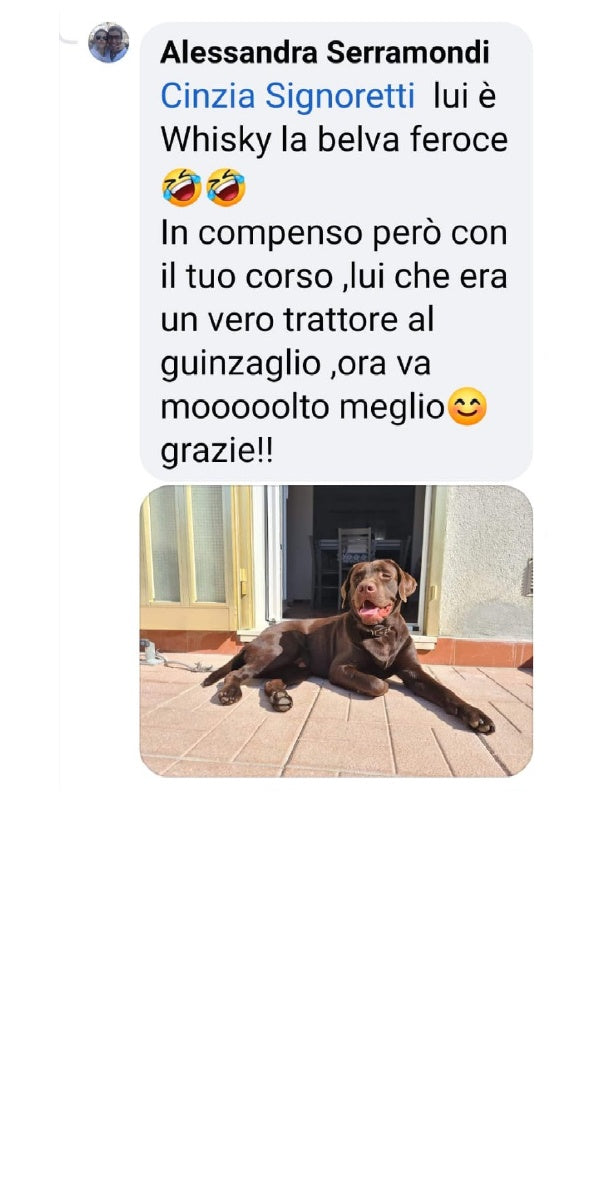 Famiglia Fantasticane