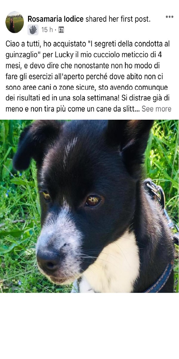 Cliente Fantasticane