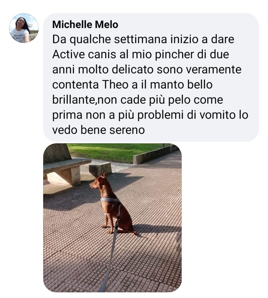Michele Mello