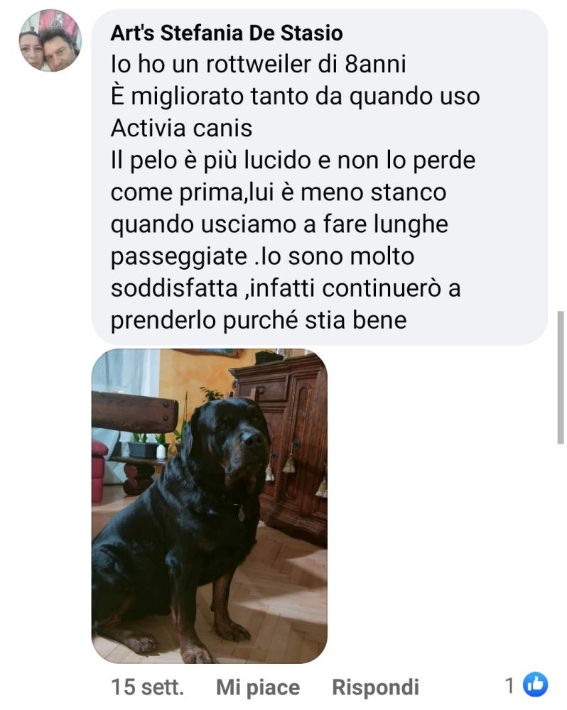 Stefania de Stasio