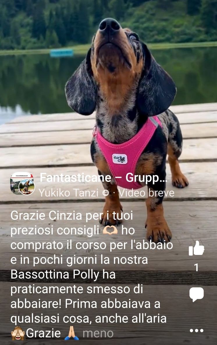 Cliente Fantasticane