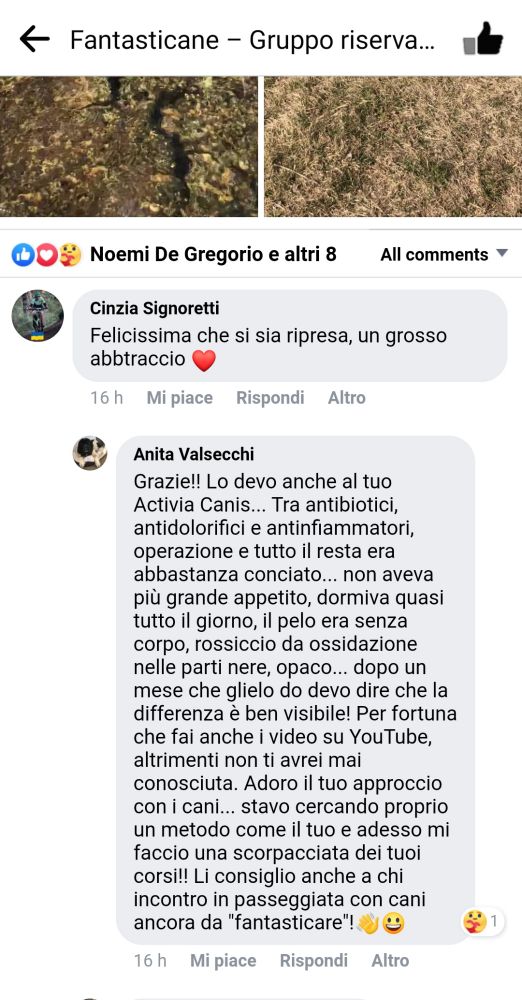 Anita Valsecchi