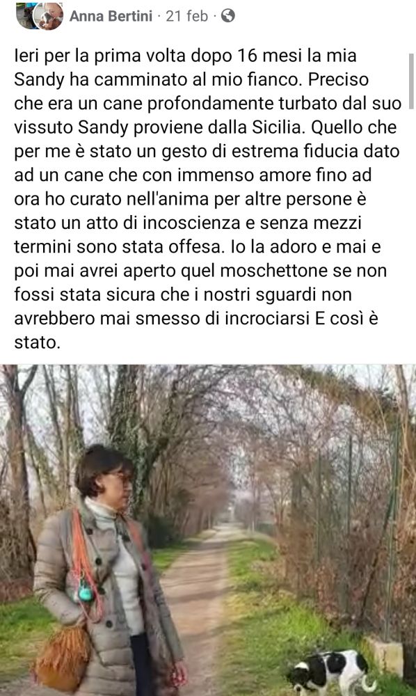 Anna Bertini