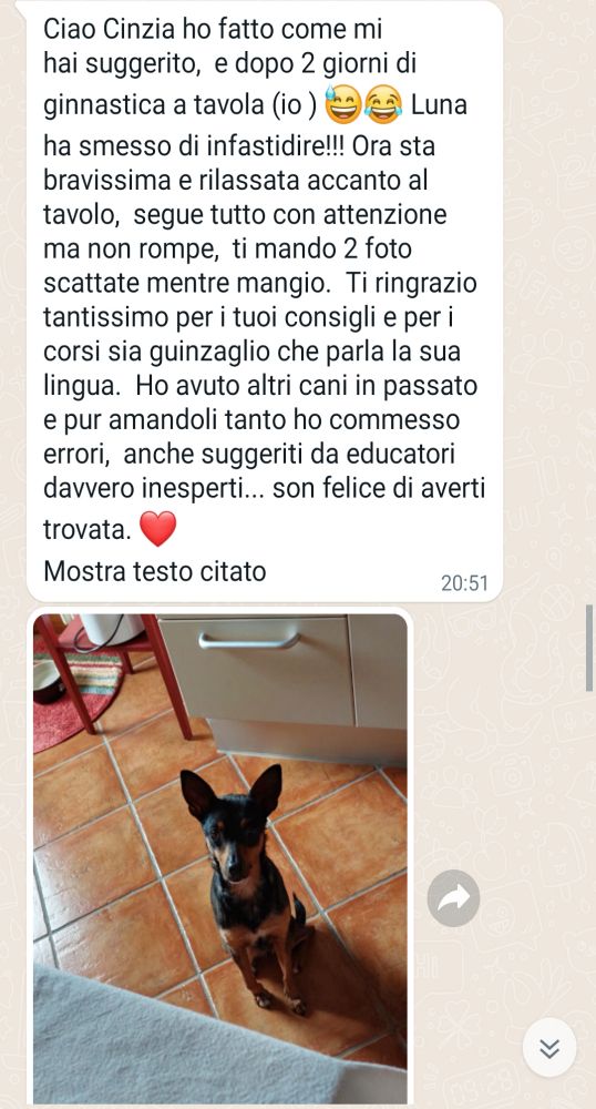 Cliente Fantasticane