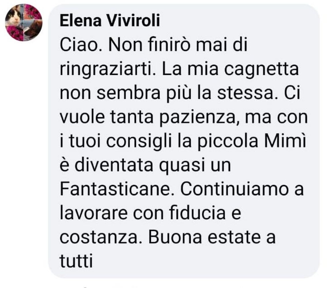 Elena Viviroli
